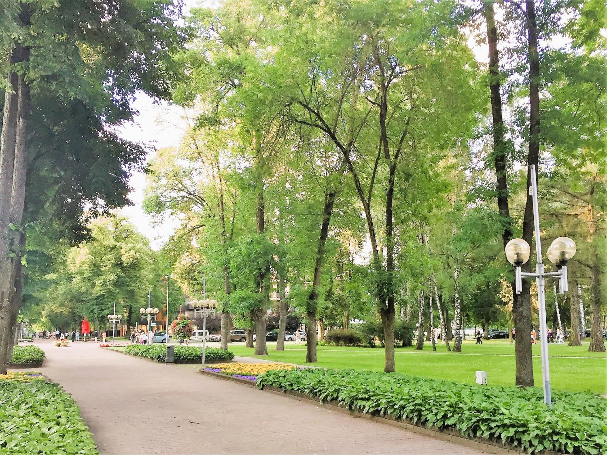 Apartment In The City Center Друскининкай Екстериор снимка